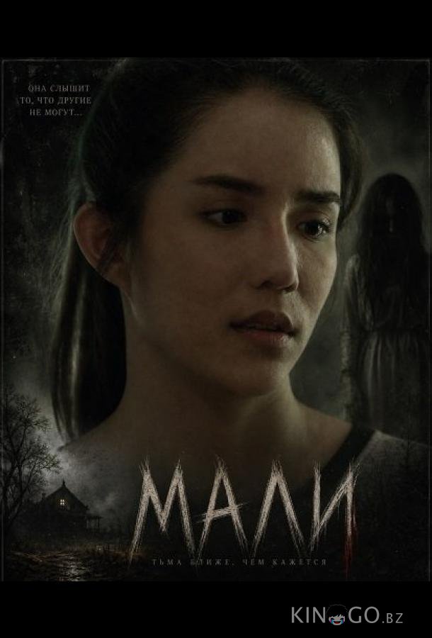 Мали (2025)